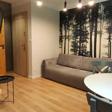 Apartamento Nad Rzeka Lyna - Stare *